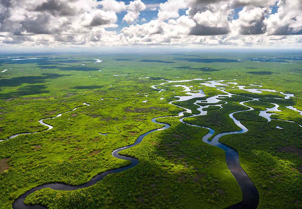 Miami’s Natural Wonder: Everglades National Park